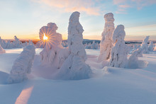 Panoramic View Of Beautiful Winter Wonderland Scenery In Scenic Golden Evening Light At Sunset With Clouds In Scandinavia, Northern Europe Colorful Winter Sunrise In Mountains. Christmas Time Concept 