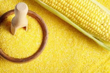 Wall Mural - Top view of Ripe fresh organic sweet corncob and wooden bowl with scoop closeup on grits background