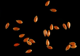 Sticker - Seeds of flax on a black background close up