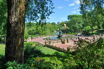 Wall Mural - Central Park, New York City, USA