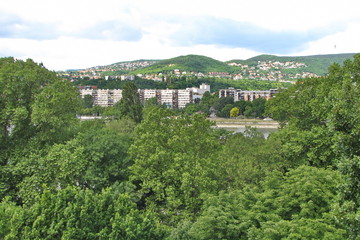 Wall Mural - Margaret Island in Budapest, Hungary