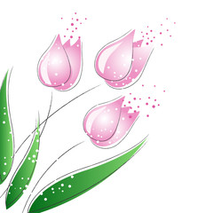 Fotofirana tulipan sztuka kwiat natura przezroczysty