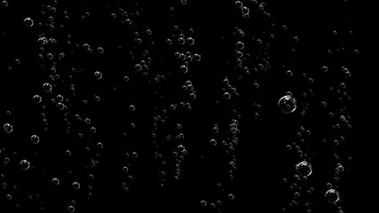 Poster - Bubbles of champagne thin threads rise to the top.Champagne bottle is opened and sprinkled. Slow motion, black background.