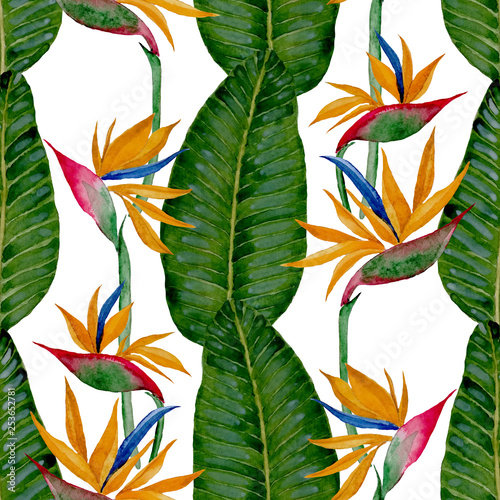 Watercolor seamless pattern with strelitzia