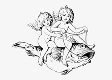 Babies Riding On A Fish