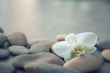 Spa Concept With Basalt Stones And White Orchid