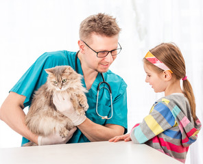 Wall Mural - Vet doctor checking cat for diseases