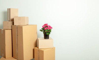 Wall Mural - Moving Day. Cardboard boxes and pot with plants against gray wall. Copy space for text.