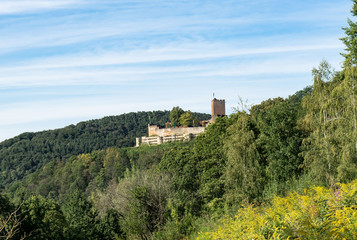 Wall Mural - Burgruine Landeck