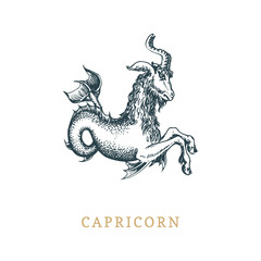 Capricorn zodiac symbol, hand drawn in engraving style. Vector graphic retro illustration of astrological sign Sea-goat.