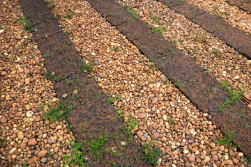 Wall Mural - Patterned floor walkway in the park.