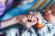 © Anastassiya  - Little newborn baby holding parent's one hand, close-up macro shot.
