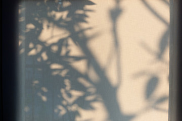 abstract shadow background of natural leaves tree branch falling on window curtain texture.