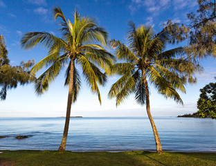 Early morning landscape photo with a low horizon, looking through the palm trees to calm blue waters. Anse Vata Bay, Noumea, New Caledonia.