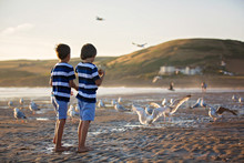 Children, Beautiful Boy Brothers, Watching And Feeding Seagulls On The Beach