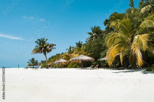 Fotomural Tropical paradise white sand beach with palms at Maldives south ari atoll laccad