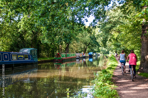 Cuadros en Lienzo Narrow boats moored on River Wey Navigation and cyclists on towpath, Surrey, Eng