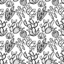 Vector Illustration. Beautiful Cactus. Handmade, Set Of Plants, Prints On T-shirts, Tattoos, Background White,Seamless Pattern, Postcard For You