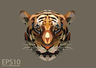 Low polygon tiger head pattern background. Illustration EPS 10.