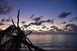 Morgendämmerung auf den Seychellen