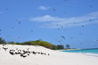Bird Island - Seychellen
