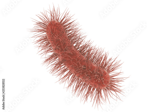 E Coli Bacteria Cell Isolated On White Background Medical Microscopic Buy This Stock Illustration And Explore Similar Illustrations At Adobe Stock Adobe Stock E Coli Bacteria Cell Isolated On White Background Medical Microscopic Buy This Stock Illustration And Explore Similar Illustrations At Adobe Stock Adobe Stock