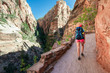 © blazekg - Young woman wearing backpack is trekking to Angel's Landing in Zion National park in Utah, USA. Female on a hiking trail in Zion National Park in Usa. Travel and adventure concept.