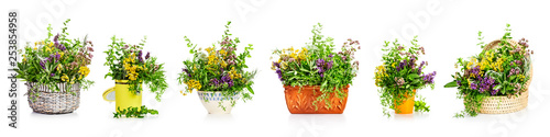 Naklejka - mata magnetyczna na lodówkę Garden herbs banner set.