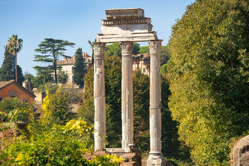 Wall Mural - The Roman Forum view, city square in ancient Rome, Italy