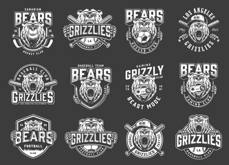 Poster - Angry bear sport clubs mascot logos