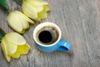 cup of coffee and tulips on wooden table. copy spaces. top view