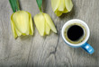 cup of coffee and tulips on wooden table. copy spaces. top view