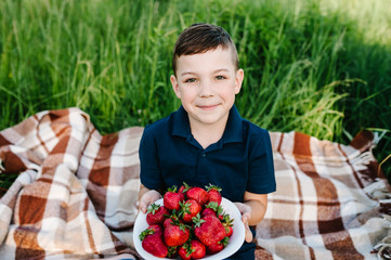 A plate of strawberries in the hands of a guy. Portrait of boy eating strawberries on grass, nature. Happy on vacation outdoors. The little son having picnic on blanket. The concept of family holiday.