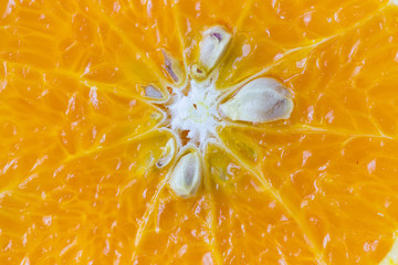 Macro image of ripe orange, small depth of field. Blurred fruit background