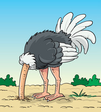 Ostrich Hides Its Head In The Ground - Illustration