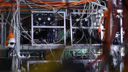 Poster - Mining farm with wires. Close-up of hanging colored wires on racks with equipment for cryptocurrency mining farm