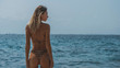 © South House Studio - wonderful back view girl in leopard print bathing suit standing in a sexy pose