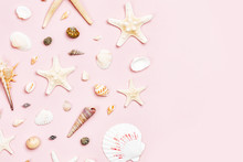 Seashells And Starfish On A Pale Pink Background.  Summer Time Concept. Nautical Pattern.