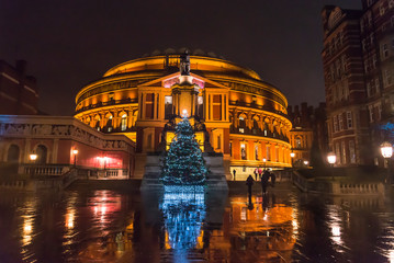 Illuminated Christmas tree in front of the Royal Albert Hall at night, South Kensington, London, England, UK