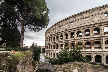 Wall Mural - ROME, ITALY- November, 2018: Colloseum in Rome most remarkable landmark of Rome and Italy. Colosseum - elliptical amphitheatre in the centre of the city of Rome.