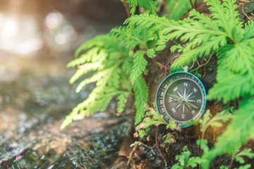 Compass put on the rock with green plant near waterfall with sunlight. Travel concept.
