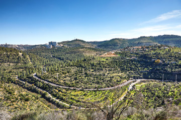 Forest of Sataf west of Jerusalem Israel. A beautiful area of hiking and enjoying the nature. 