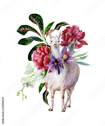 Watercolor cartoon illustration of cute alpaca with peonies and white orchids...