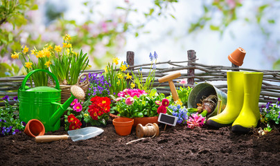 Canvas Print - Planting spring flowers in the garden