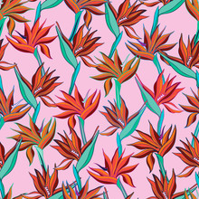 Vector illustration with flowers Strelitzia. Seamless pattern with tropical flowers and leaves in bright colors. The design is suitable for clothes, wallpaper, background.