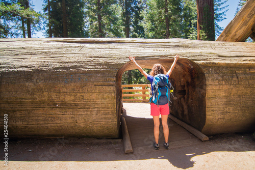 Young Woman Is Standing Under Tunnel Log In Sequoia National Park