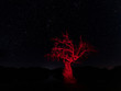 Night landscape with dry tree illuminated red. Arroyo de la Luz. Extremadura. Spain.