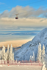 Cable car with skiers in Poiana Brasov ski resort,  ski slopes whit forest covered in snow on winter season