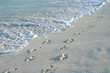 footprints on the beach sand of Caribbean sea