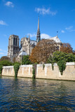 Fototapeta Boho - Notre Dame